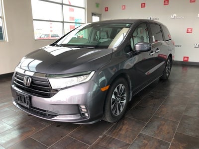 2024 Honda Odyssey EX-L